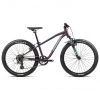 Orbea VTT Enfant & Ado MX XC 24" Enfant, Violet